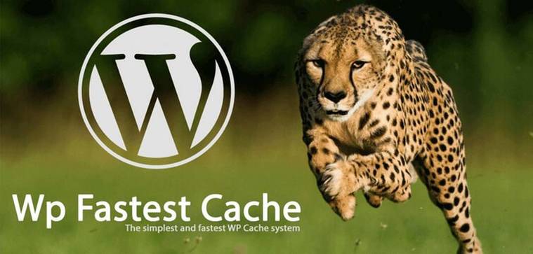 How to Speed up Your WordPress Site in 2019 6 How to Speed up Your WordPress Site in 2019 4