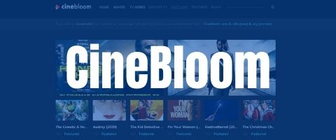 Top 25 Sites Like Primewire to Watch Free Movies 2024 13 Top 25 Sites Like Primewire to Watch Free Movies 2024 10