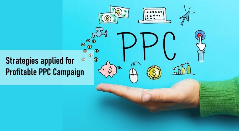 What Strategies Applied for a Profitable PPC Campaign?