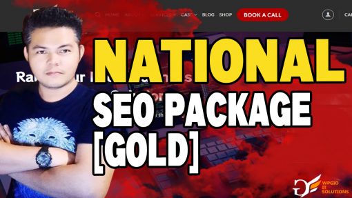 National SEO Package [Gold] 3
