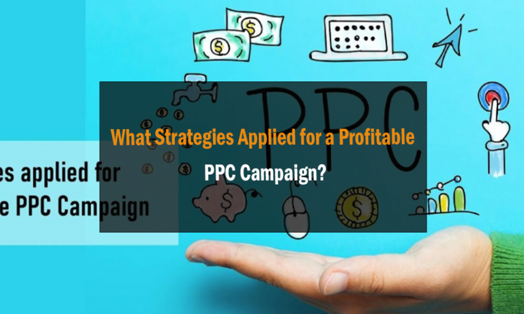 What Strategies Applied for a Profitable PPC Campaign? 7