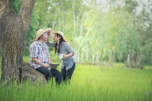 Wpgio It Solutions 24 Guardianship