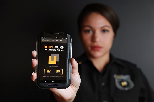 Hotel Security Guard: Preventing Theft and Ensuring Guest Safety 2 hotel security guard