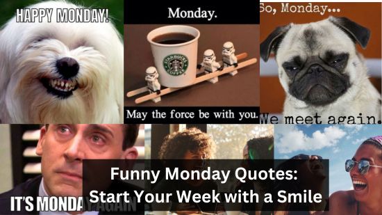 Funny Monday Quotes: Start Your Week with a Smile 12