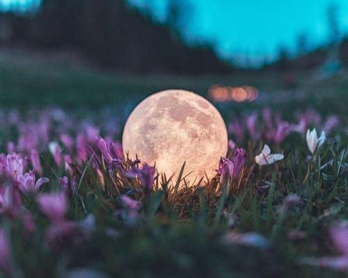 Full Moon Manifestation Ritual: How to Harness Lunar Energy 3
